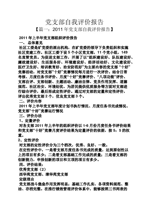 党支部自我评价报告