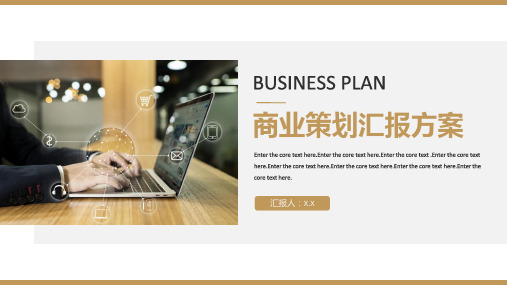 商业策划汇报方案ppt