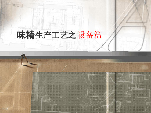 味精生产工艺及设备篇