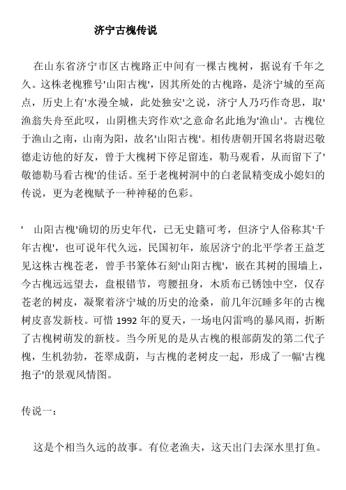 济宁古槐传说