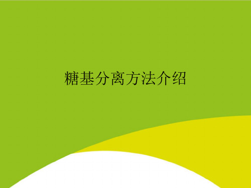 糖基分离方法介绍PPT(完整版)
