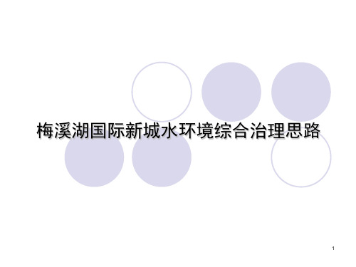 治水思路汇报材料