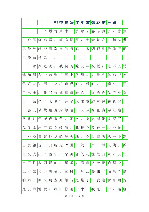 2019年初中描写过年放烟花的作文600字