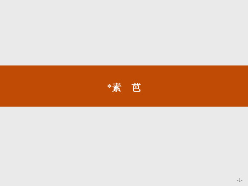高中语文人教选修《外国小说欣赏》配套课件：第四单元 素芭