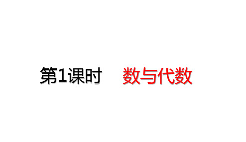 新人教版小学数学四年级下册 10.1 数与代数课件