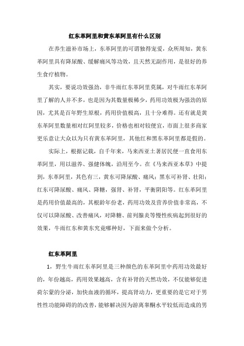 红东革阿里和黄东革阿里有什么区别