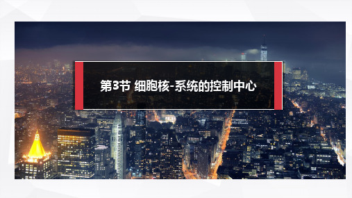 高中生物_细胞核教学课件设计