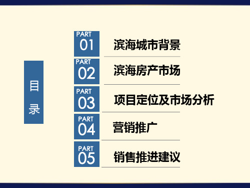 港利·上城国际(滨海)项目整体定位及营销报告共158页文档