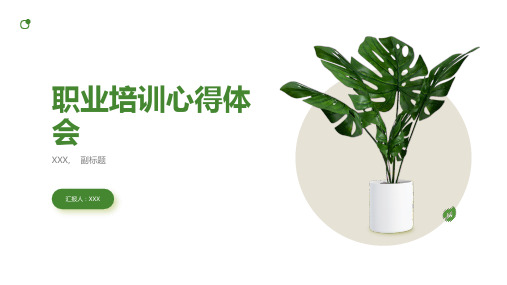职业培训心得体会ppt