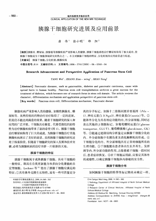 胰腺干细胞研究进展及应用前景