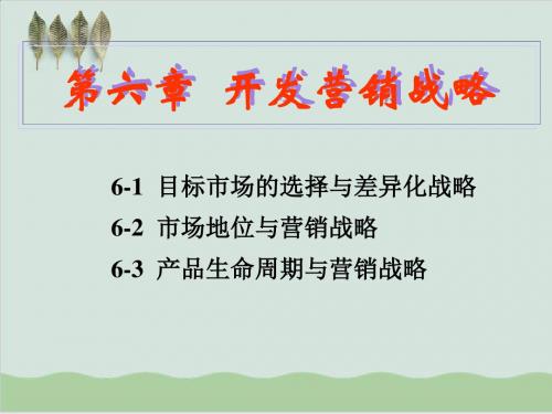 开发营销战略讲义课件PPT课件( 64页)