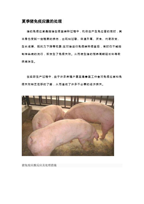 夏季猪免疫应激的处理