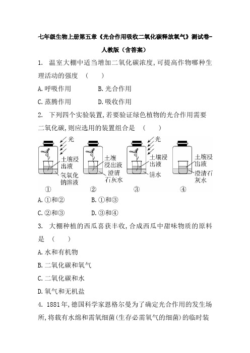 七年级生物上册第五章《光合作用吸收二氧化碳释放氧气》测试卷-人教版(含答案)