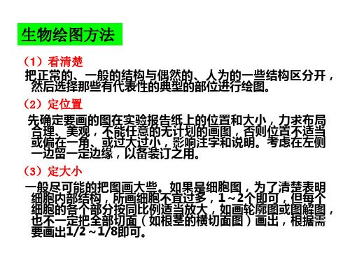 细胞生物绘图