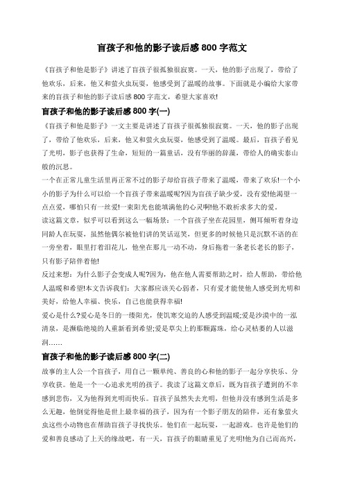 盲孩子和他的影子读后感800字范文