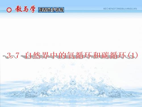 3.7 自然界中的氧循环和碳循环(1)
