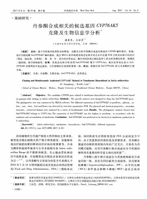 丹参酮合成相关的候选基因CYP76AK5克隆及生物信息学分析