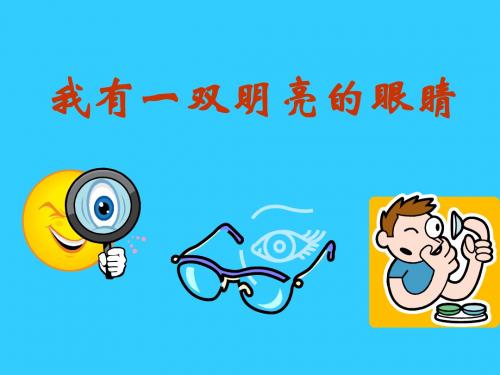《我有一双明亮的眼睛》健康生活每一天PPT课件4