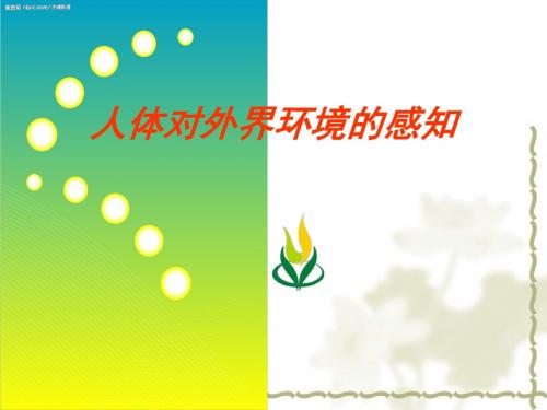 《人体对外界环境的感知》PPT课件