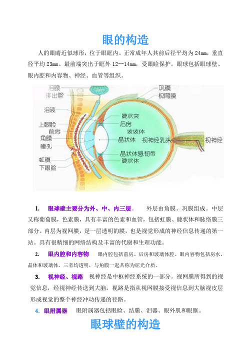 最新-八年级生物上册 眼的构造素材 人教新课标版 精品