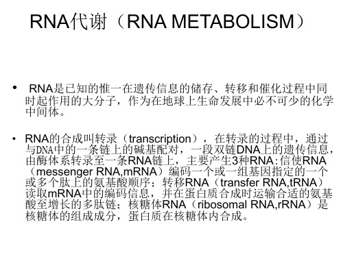 RNA代谢-依赖DNA的RNA合成
