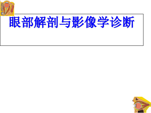 眼部解剖与影像学诊断ppt课件