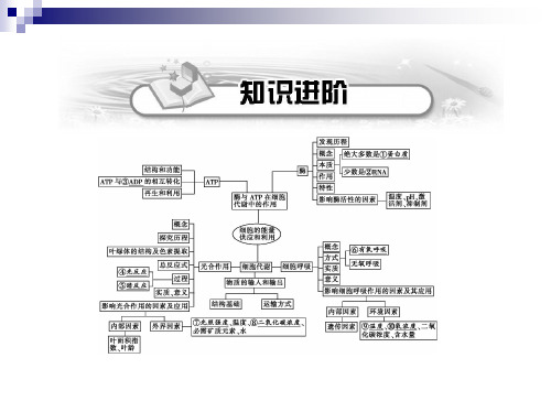 生物课件-人教版课件第03单元-细胞的能量供应与利用