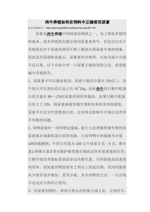 肉牛养殖如何在饲料中正确使用尿素