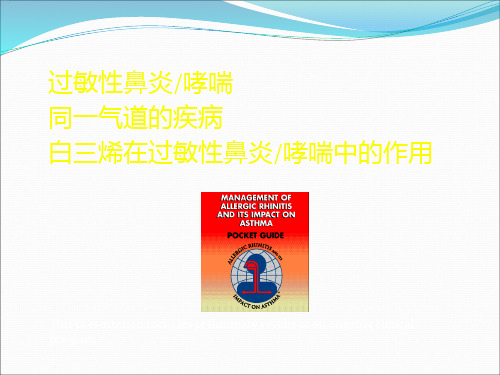 鼻炎ppt课件