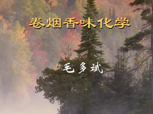 味觉和嗅觉