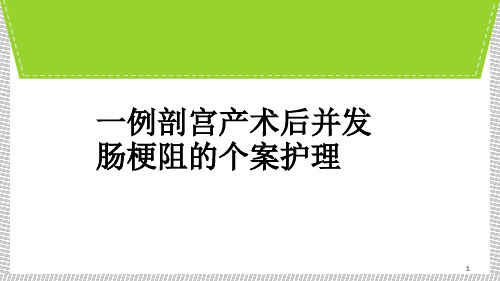 一例剖宫产术后并发肠梗阻个案护理PPT课件