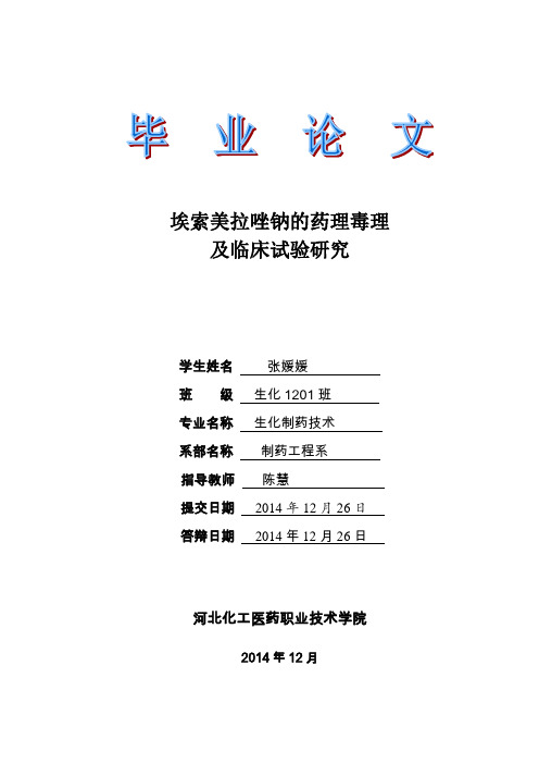 论文