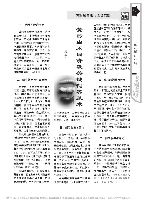黄粉虫不同阶段关键饲养技术_刘玉升
