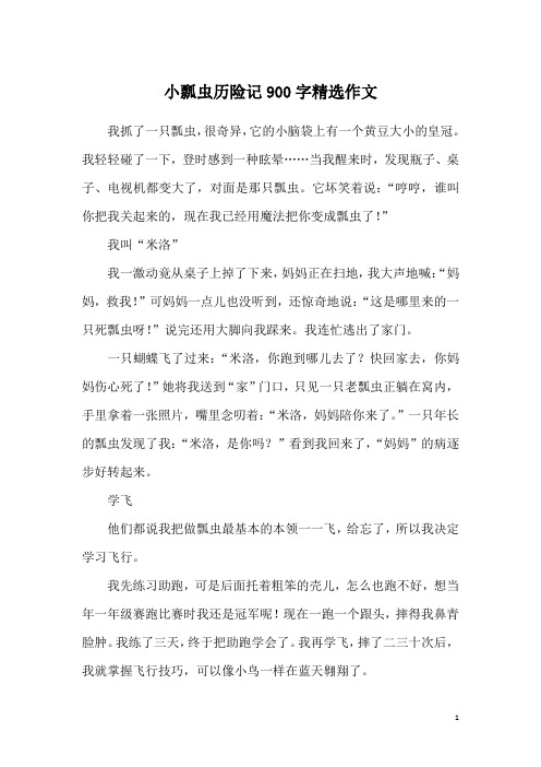 小瓢虫历险记900字精选作文