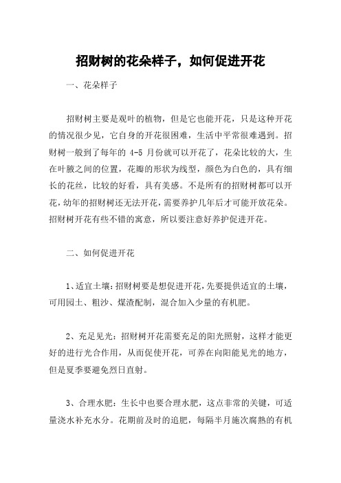 招财树的花朵样子,如何促进开花