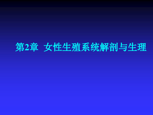 妇产科学第2章 女性生殖系统解剖与生理 PPT课件