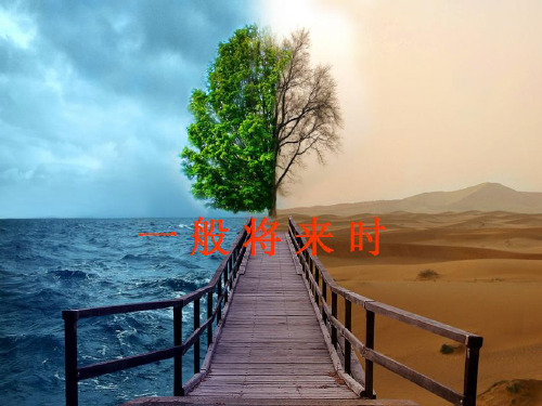 【小升初】英语专题复习-一般将来时2.ppt