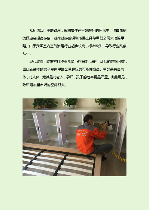 除甲醛产品加盟代理