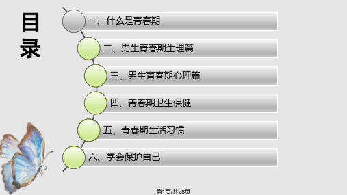 青春期性教育男PPT课件