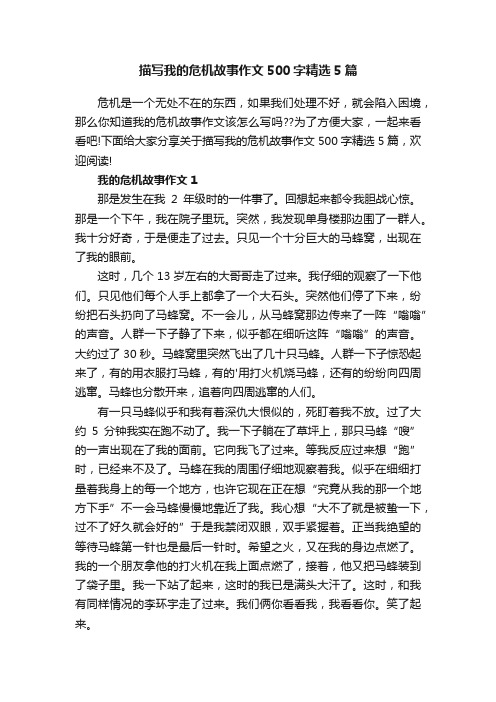 描写我的危机故事作文500字精选5篇