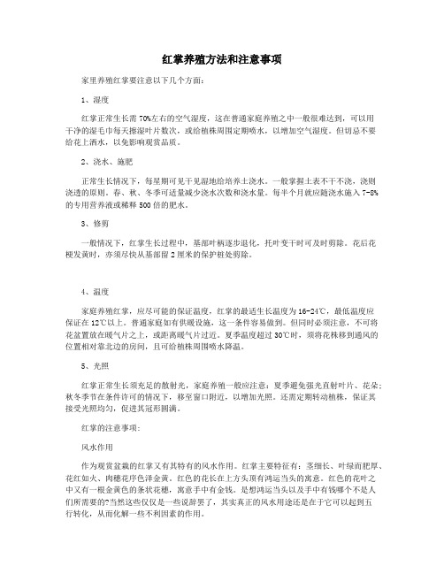 红掌养殖方法和注意事项
