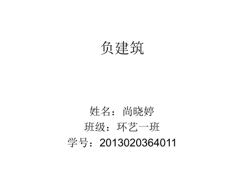 负建筑之读后感想