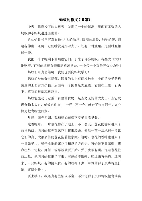 蚂蚁的作文(15篇)范文