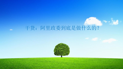 干货政委体系到底是做什么的