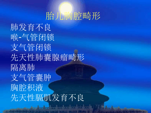 胎儿肺部疾病