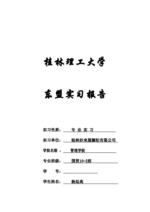 2013年东盟实习报告