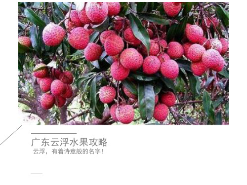 广东云浮水果