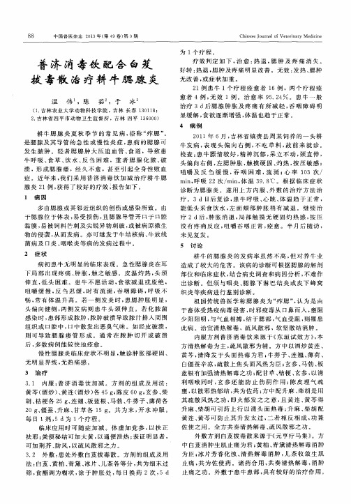 普济消毒饮配合白芨拔毒散治疗耕牛腮腺炎