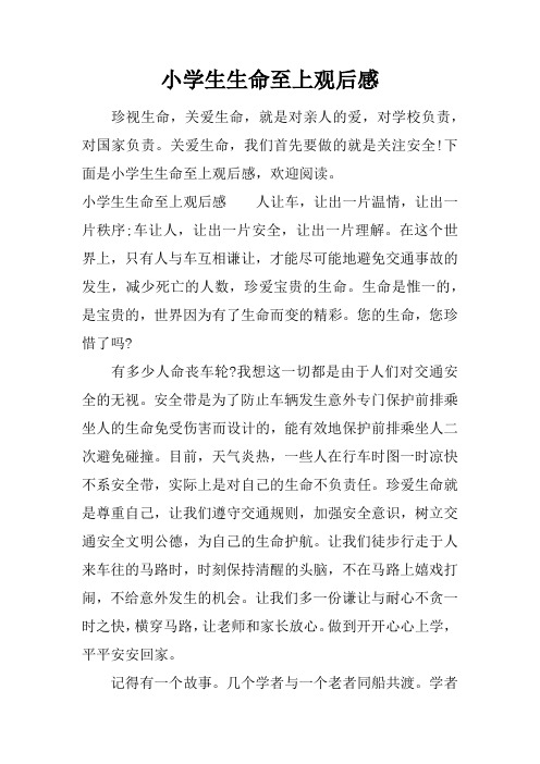 小学生生命至上观后感