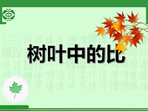 六年级上册数学课件-3 树叶中的比